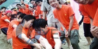 db视讯科技集团第四届拔河比赛初赛顺利完成